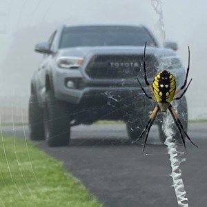 Meet your Posher, Nathan